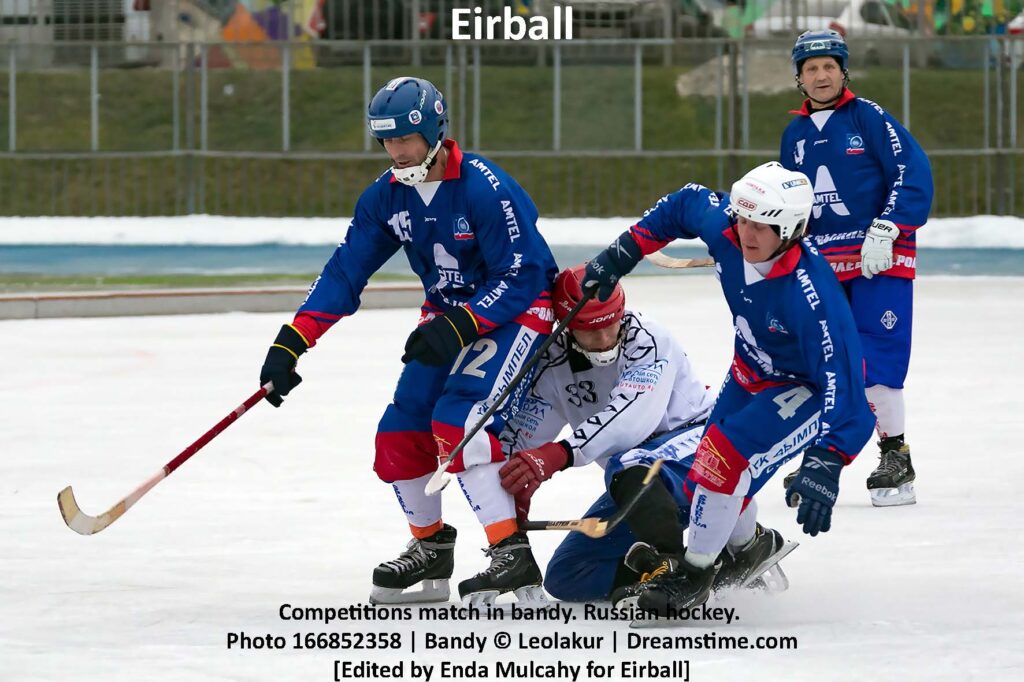 Competitions match in bandy. Russian hockey